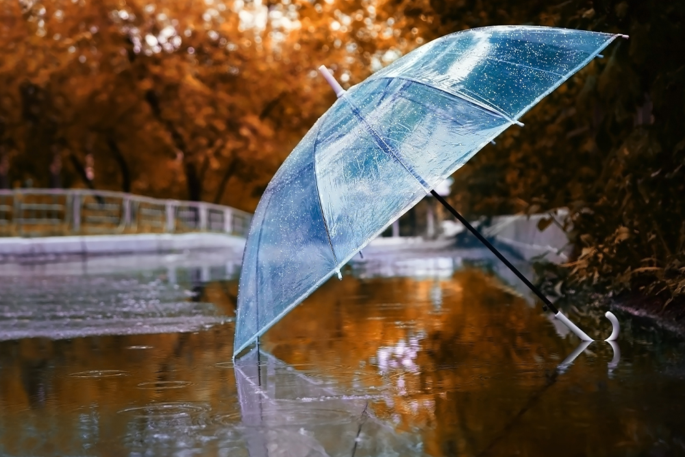What is the best umbrella? ReviewUK 2024