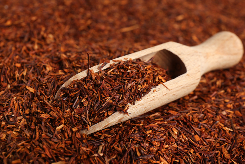 Is rooibos tea healthy? ReviewUK 2024