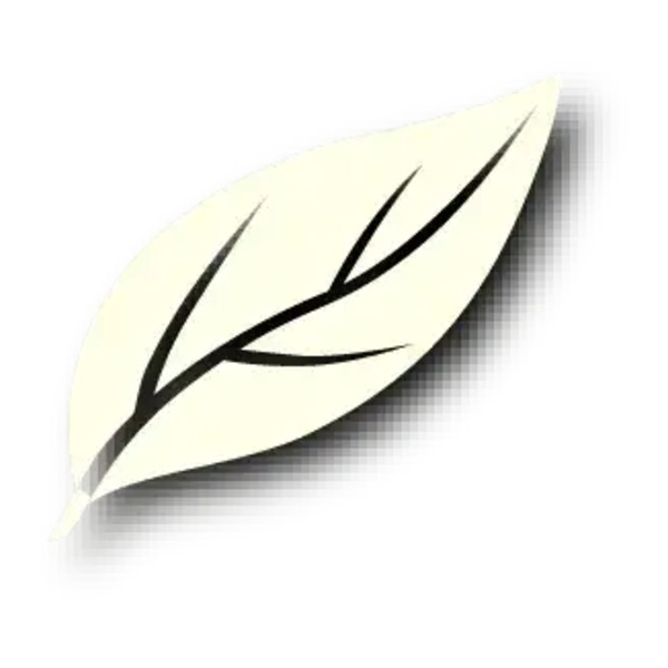 Reviews and experiences about Great Green Systems in 2024