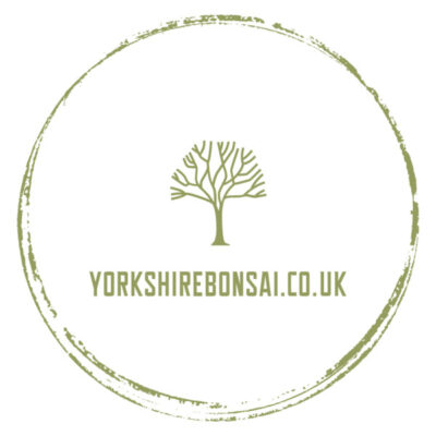 Yorkshire Bonsai Trees
