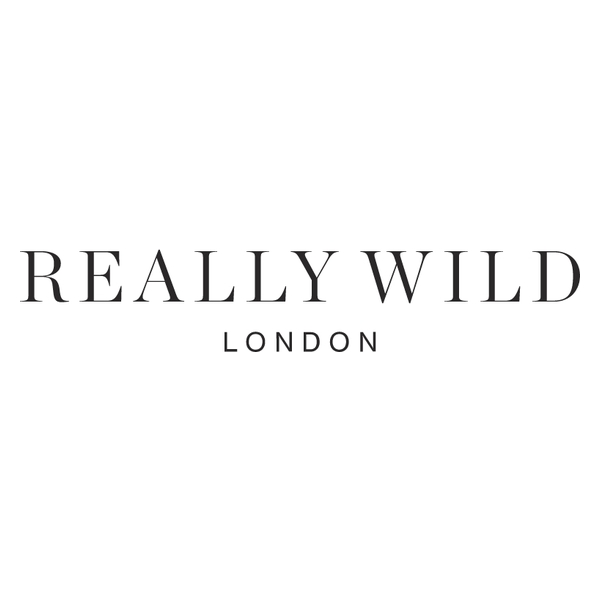 Vibrant Wild London Review – Honestly, Telly Does Not Get Any Better Than This Moment in 4K Vibrant Wild London Review – Honestly, Telly Does Not Get Any Better Than This Moment in 4K